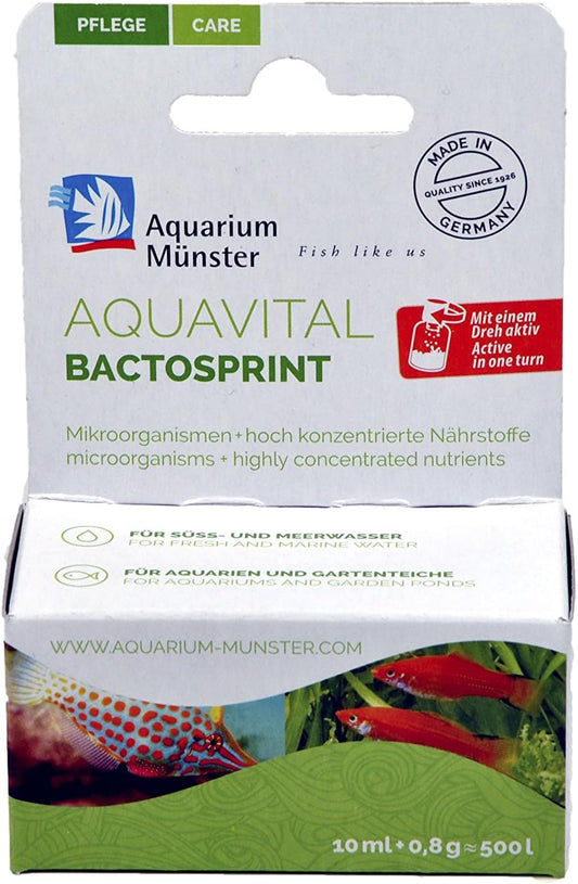 Aquarium Münster BACTOSPRINT Mikroorganismen und hoch konzentrierte Nährstoffe, für Aquarium, 10 ml