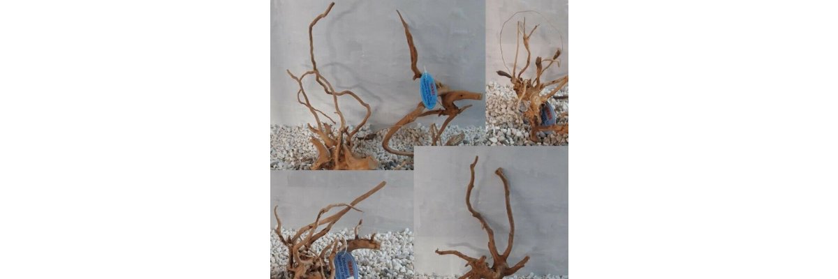 Aquariumwurzeln in unseren EbayShop - Mangrovenwurzel